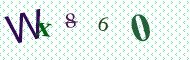 CAPTCHA code