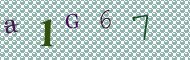 CAPTCHA code